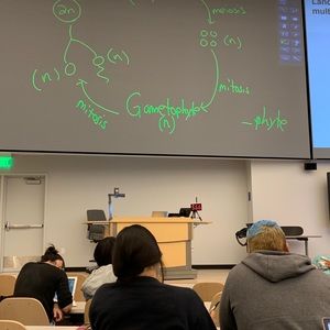 Meet your Posher, Daphne